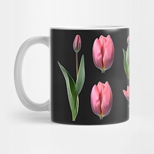 Tulipa &#39;Pretty Princess&#39; Triumph Group Tulip Mug